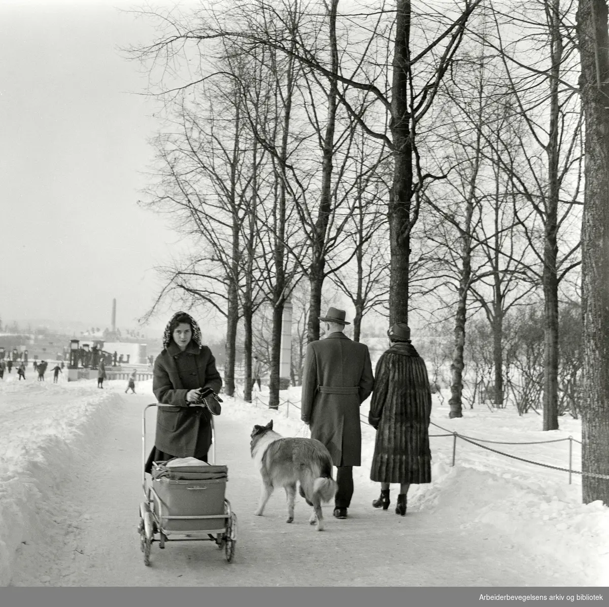 Spasertur i Frognerparken. Februar 1959.