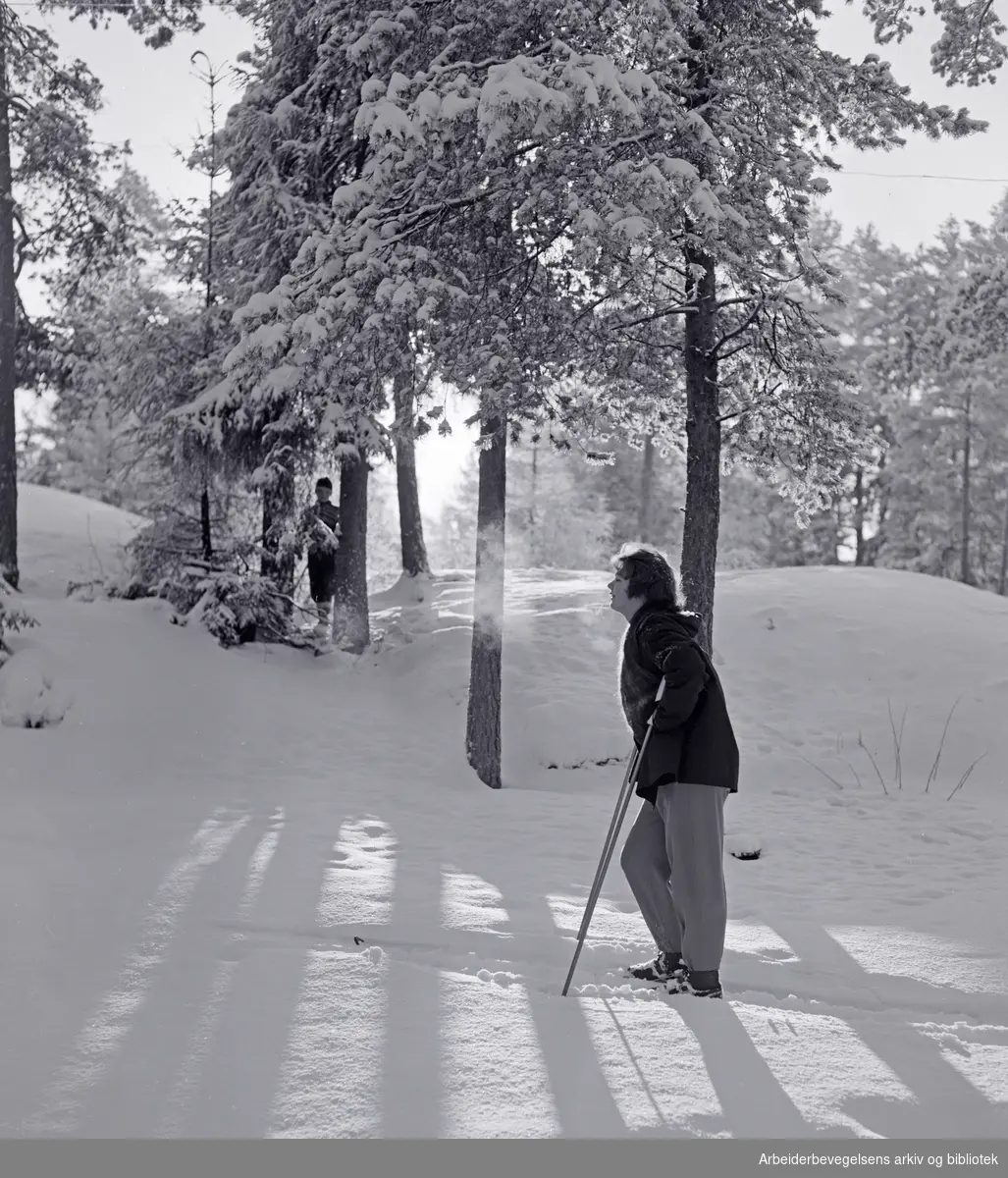 Påskestemning i Nordmarka. Januar 1956.