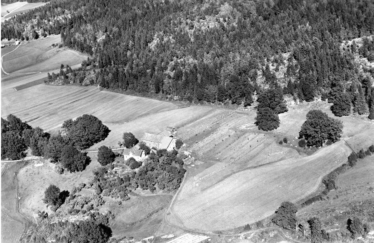 Flyfotoarkiv fra Fjellanger Widerøe AS, fra Porsgrunn Kommune, Bjerketvedt Gård. Fotografert 30/07-1951. Fotograf Otto Hansen