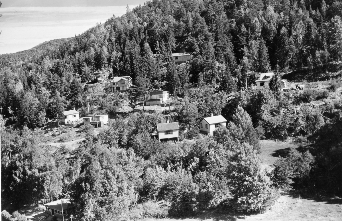 Flyfotoarkiv fra Fjellanger Widerøe AS, fra Porsgrunn Kommune. Bergsbygda. Fotografert 08.08.1959. Fotograf J Kruse