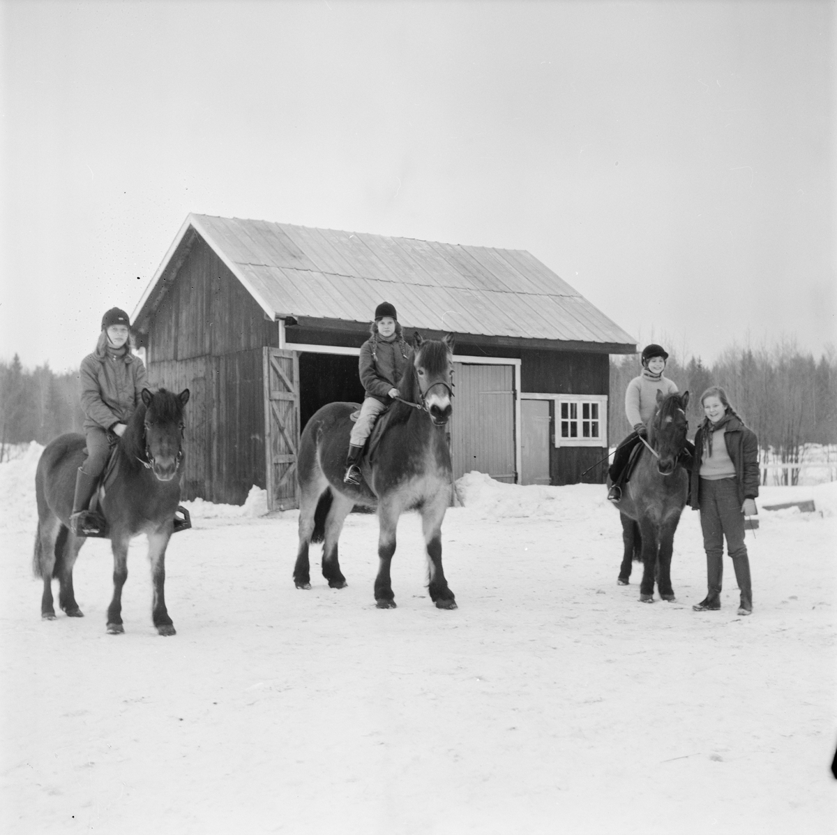 Gillbergastallet, Tolfta socken, Uppland, februari 1972