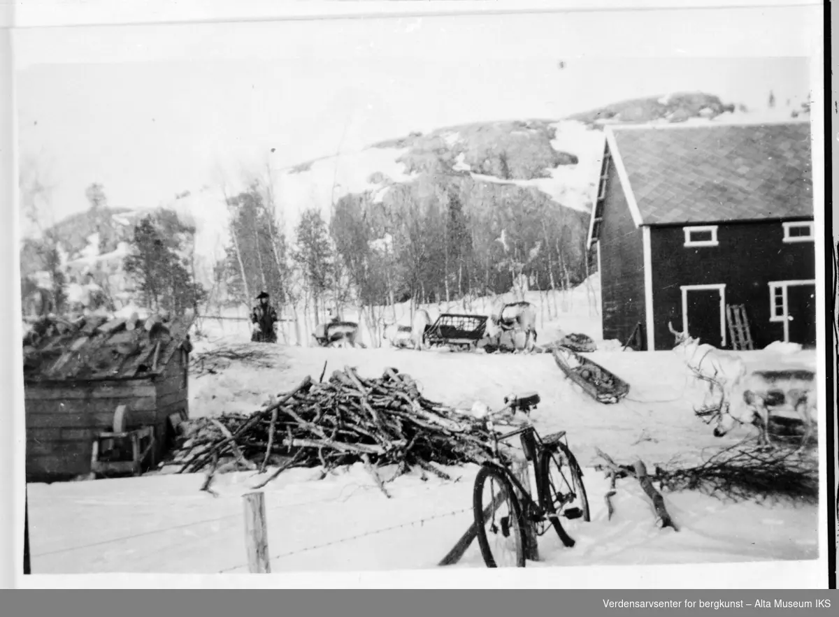Reinraid på gårdstunet Myreng i Tverrelvdalen. På bildet ser vi en samisk person og flere rein ved en fjøs. Snødekt fjell i bakgrunnen.