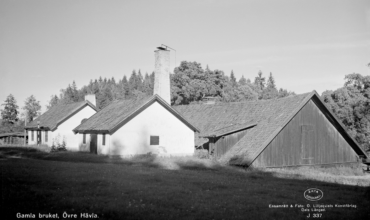 Övre Hävla bruk i Skedevi. Även kallat Hävla hammarsmedja. Bruket har varit i drift sedan 1682 då landshövdingen Jacob Henriksson Flemming erhöll tillstånd att tillverka smidbart järn på platsen. På 1800-talet byggdes verksamheten ut och i slutet av århundradet var Hävla en av landets största leverantörer av hästskor. Smedjan var i bruk fram till 1924.