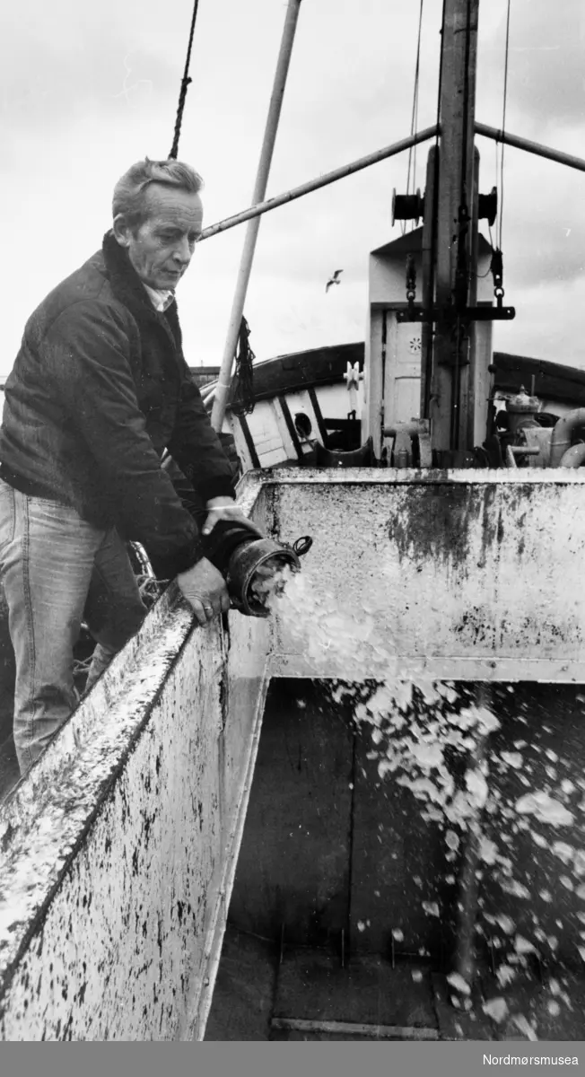 Nordmøre Islager ble etablert i Kristiansund i april 1985 og allerede i november samme året var bedriften blitt en suksess. Tilgangen på is hadde vært en utfordring for de lokale fiskerne i lang tid. Etterspørselen etter is var derfor så stor at kunder måtte avvises. Målet var å levere 2.000 tonn med is innen årsskiftet, men det målet nådde de lenge før. Nordmøre Islager var et samarbeid mellom Kristiansund kommune, industrien og fiskerorganisasjonene. Nordmøre Fiskarlag var en av hovedaksjonærene, sammen med Nordmøre Notfiskerlag. Bildet viser Oscar Bach som er i ferd med å fylle en båt med is.  -- "Oskar Bach. Nordmøre islager. TK-5/11-85." Bildet er fra avisa Tidens Krav sitt arkiv i tidsrommet 1970-1994. Nå i Nordmøre museums fotosamling.