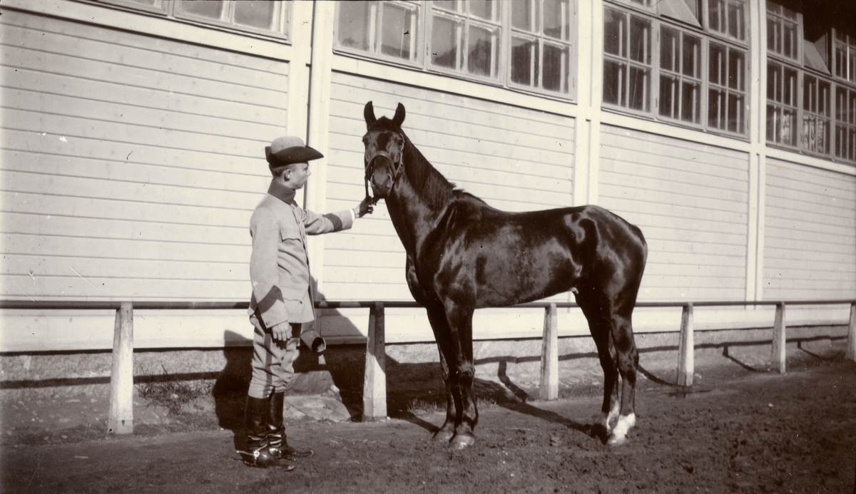 Carl Bernadotte af Wisborg med hästen Pollux vid Rekrytskolan på Kavalleriskolan i Umeå.