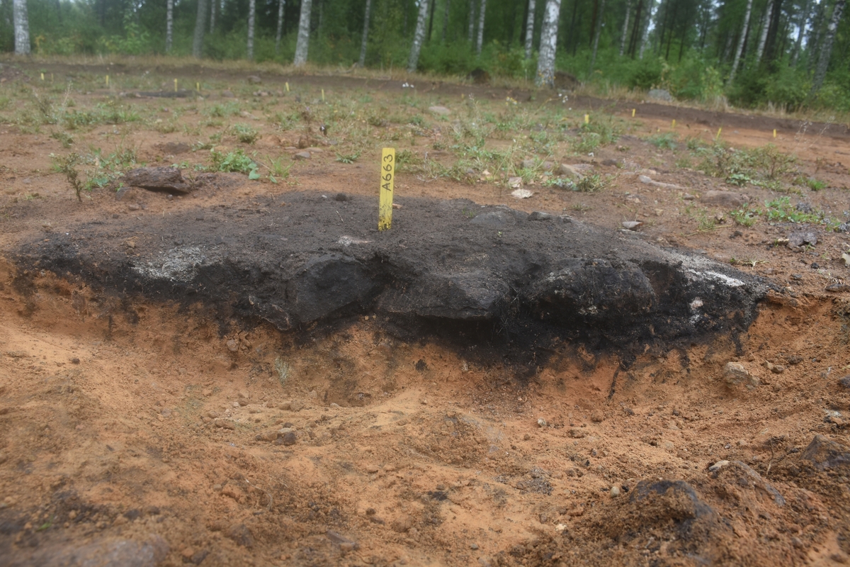 En härd som påträffats vid en arkeologisk undersökning i Mossle, Värnamo kommun sommaren 2018.