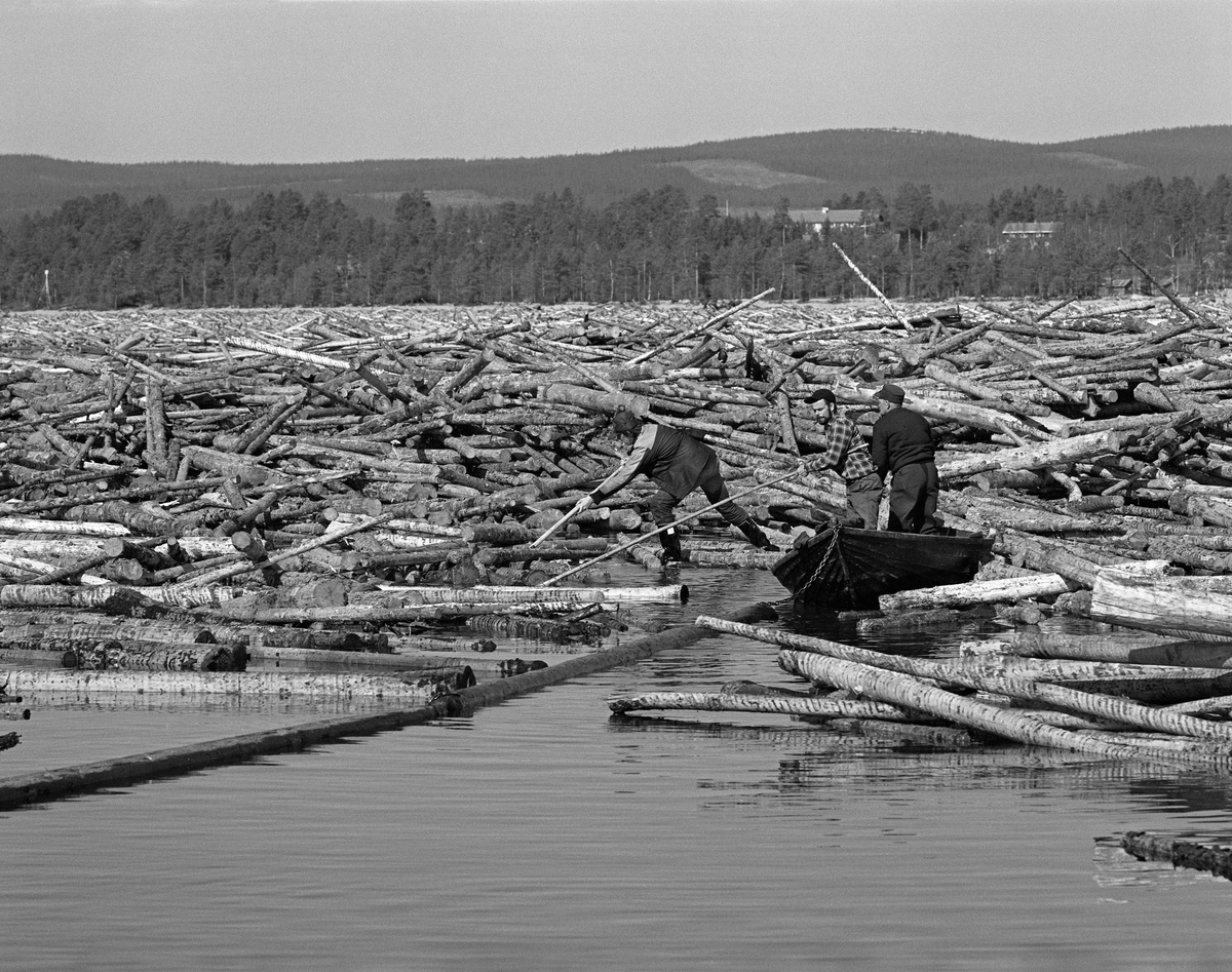 Fløtere i arbeid ved Osmundsand i nordenden av Osensjøen. Denne lokaliteten ligger i Åmot kommune i Hedmark. Den om lag 6 mil lange elva Nordre Osa har sitt utløp ved Osmundsand. Her var det fra gammelt av ei lense som samlet opp det tømmeret som ble fløtet på elva. Etter at denne virksomheten ble avviklet ved inngangen til 1970-åra fortsatte man å bruke Osmund som velteplass for tømmer som ble kjørt hit på lastebiler. Når våren kom og vannstanden begynte å stige ble tømmeret skjøvet ut i vannet ved hjelp av en hjullaster. Ei landlense - et flytende stengsel av sammenkjedete tømmerstokker som var forankret i strandsona skulle hindre at vinden spredte tømmeret over den 47 kvadratkilometer store innsjøen. Fløtingsvirket skulle etter hvert fordeles på høvelig store ringbommer for buksering over til Valmen og elva Søndre Osas utløp fra innsjøen. På dette fotografiet ser vi tre av fløterne i arbeid med haker i utkanten av området med sammenstuvet fløtingsvirke.