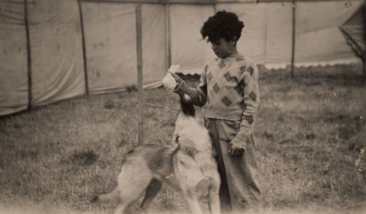 En pojke leker med sin hund. I bakgrunden syns uppspända tältdukar som användes för att hålla obehöriga personer utanför det romska lägret.