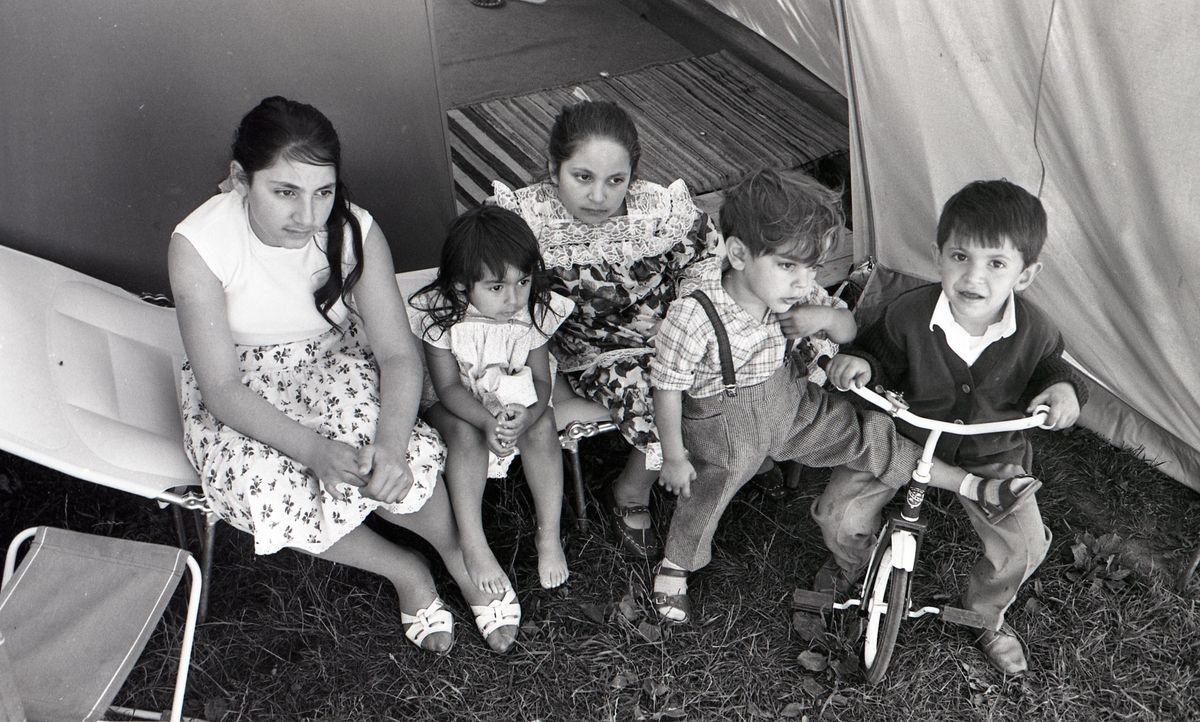 Några romska barn poserar framför kameran i Malmö sommaren år 1963. Bilden är tagen i samband med ett nyhetsreportage för Skånska Dagbladet. I reportaget porträtteras en romsk familj och hur de trivs med att ha blivit bofasta.
