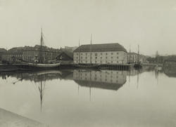 Revierstredet/havna. Revier- og Fiskebrygga. Ca.1890