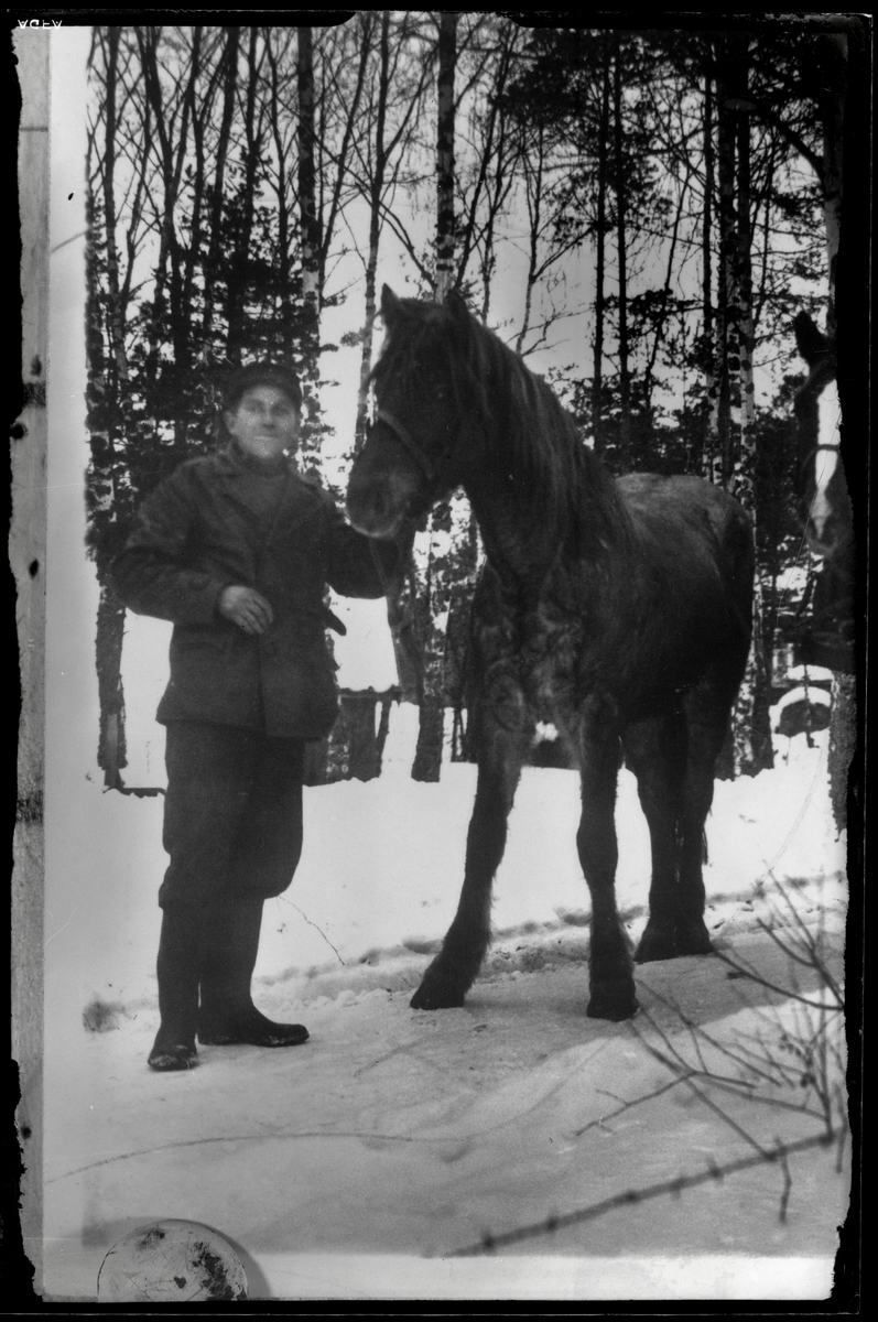 Arvid Blom med häst