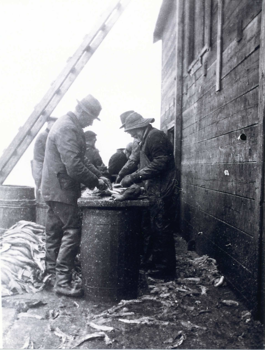 Menn som sløyer fisk på kai. Antatt Esbensens kaianlegg i Vadsø Ca 1900.