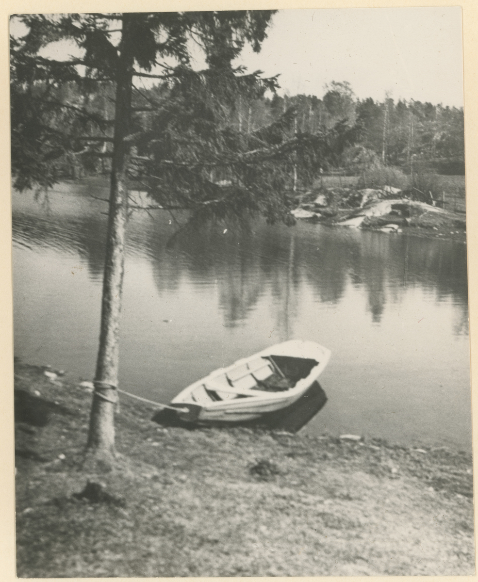 Idyll fra Vansjø, ca. 1920.
Tre kopier av samme bilde.
Detaljer: Rosjekte eller pram i forgrunnen.