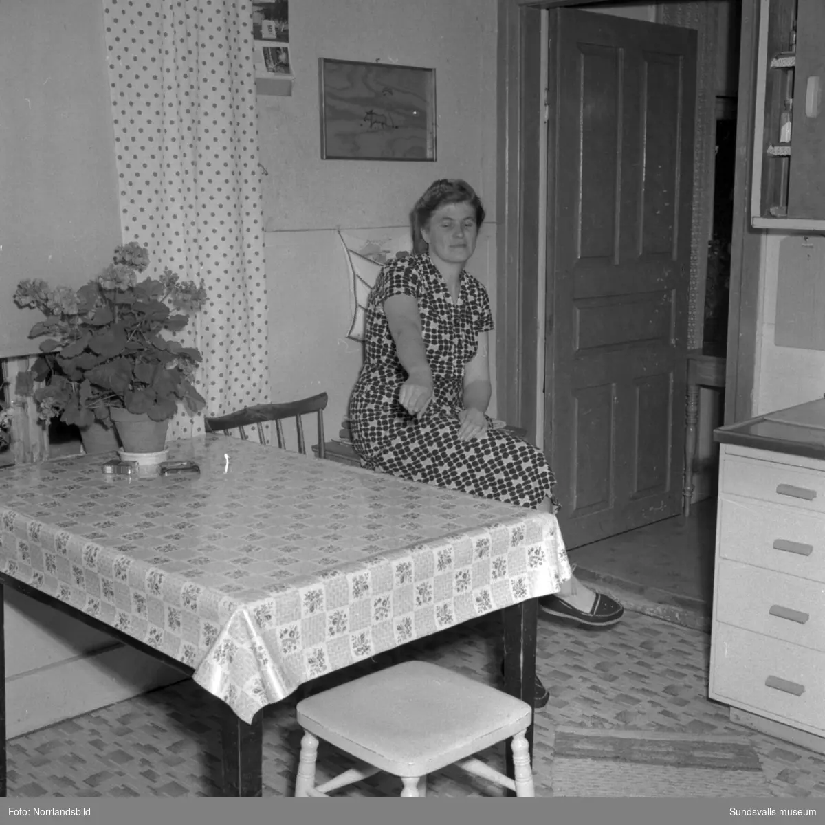 Fru Dagny Westman i Vikesund, Holm, blev hotad av en man med pistol hemma i sitt kök 1956. Mannen stal mat och försvann sedan till skogs. Reportagebilder för Expressen.