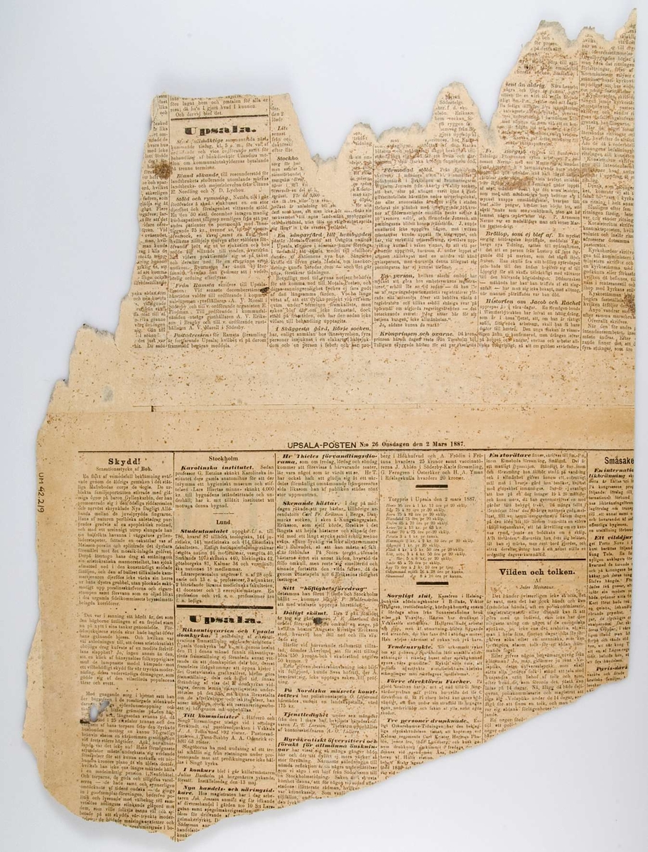 Ett fragment av tryckt tapet. Brun botten med växtmönster i brunt och blått. Tapeten dateras till 1887 (på tapetens baksida sitter tidningssidor från Upsala-Posten 2 mars 1887).