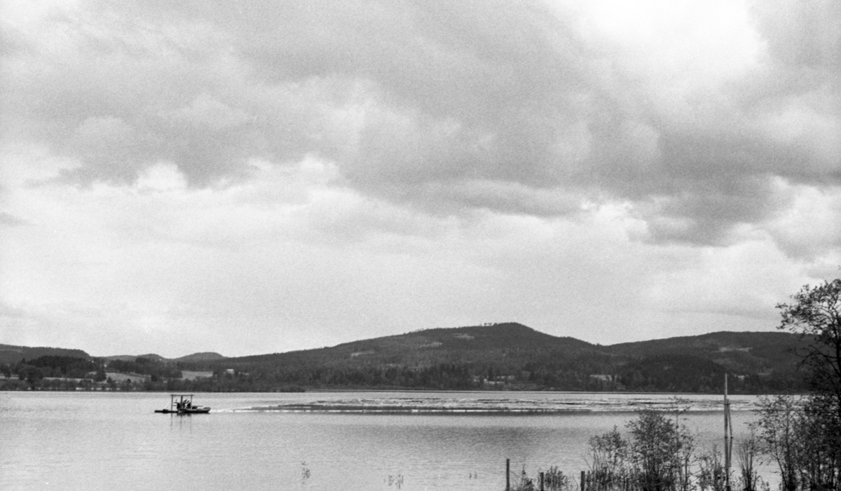 Tømmerfløting på Vingersjøen øst for Kongsvinger i mai 1955.  Fotografiet er tatt fra stranda.  I forgrunnen ser en en del buskas og gjerdestolper som dels står i vann, noe som tyder på flom.  Ute på sjøen skimtes en spillflåte med en større tømmerbom bak.  I bakgrunnen et landskap med enkelte garder og bakenforliggende skogkledde åser. 1955 var antakelig siste år det ble brukt spillflåte på Vingersjøen, jfr. SJF. 1990-01889, som viser Glomma Fellesfløtingsforengs dengang nye varpebåt på denne sjøen. 