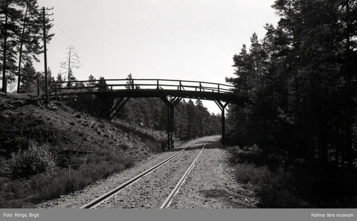 Bro över SJ sydost om Forshult i Oskarshamns kommun. Foto, från väster.