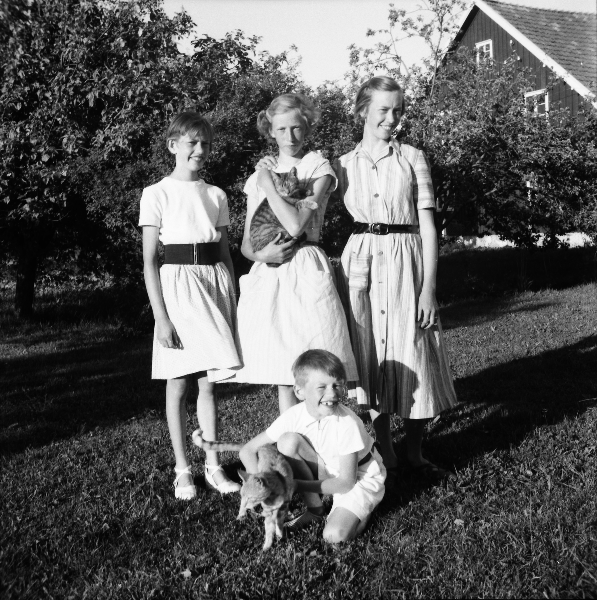 Fyra syskon Johansson med två katter i trädgården på gården Börs i byn Telnebacka, Veddige. Från vänster: Ulla, Gudrun, Barbro och Karl-Erik. Alla har skärp i midjan och Ullas är av högsta mode: ett brett resårskärp.
(Se även bild EA0595)