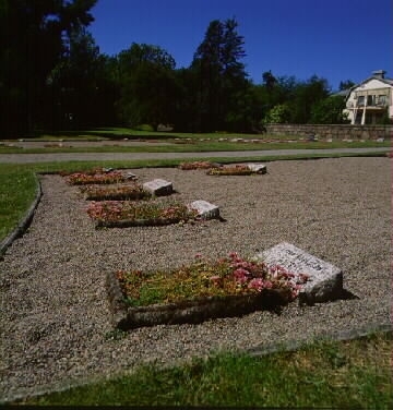 Begravningsplatsen som hör till Kustsanatoriet Apelviken invigdes 1927, här fotograferad 1996. 136 personer är begravda här. Först sattes vita träkors vid gravarna men des byttes 1943-46 ut mot stenplattor.