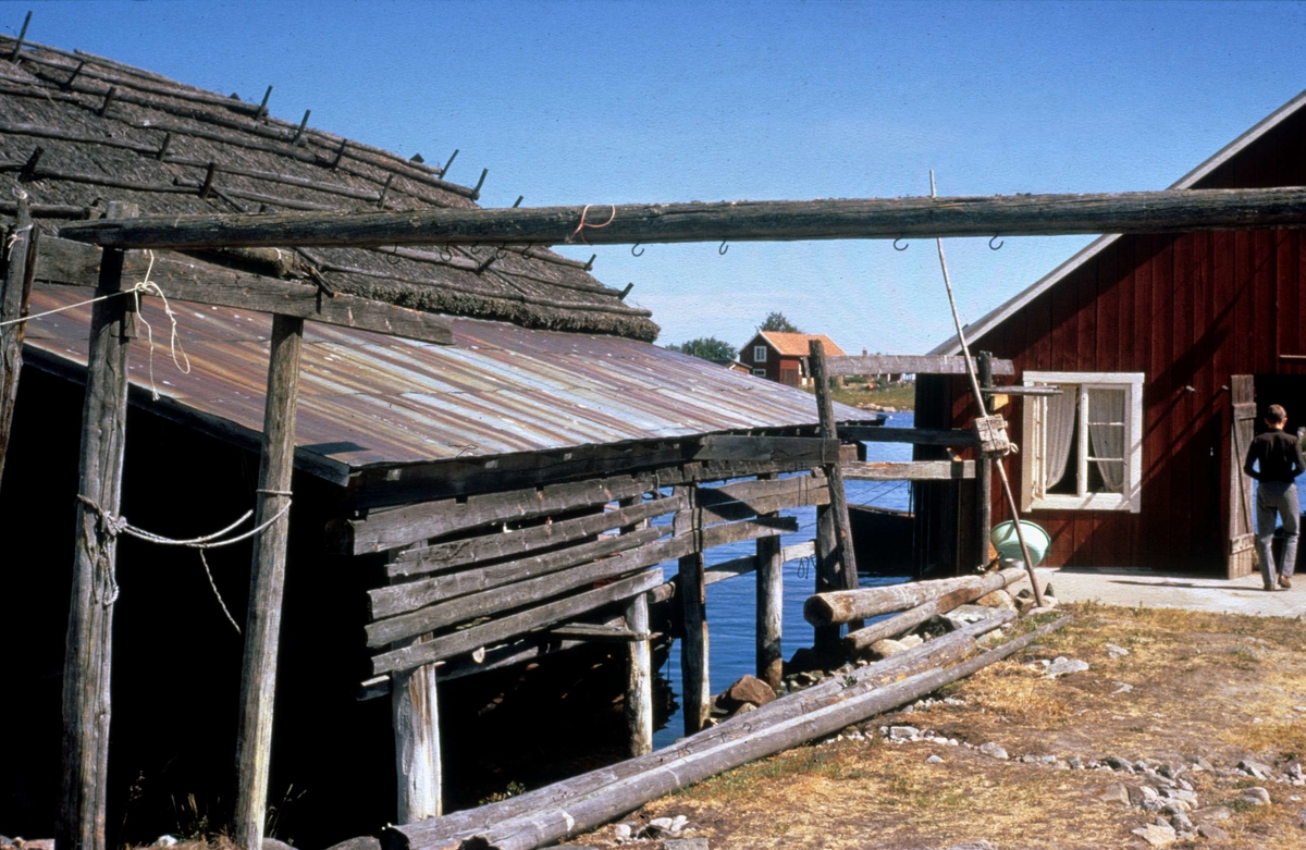 Fågelsundets fiskeläge, Hållnäs socken, Uppland 1971