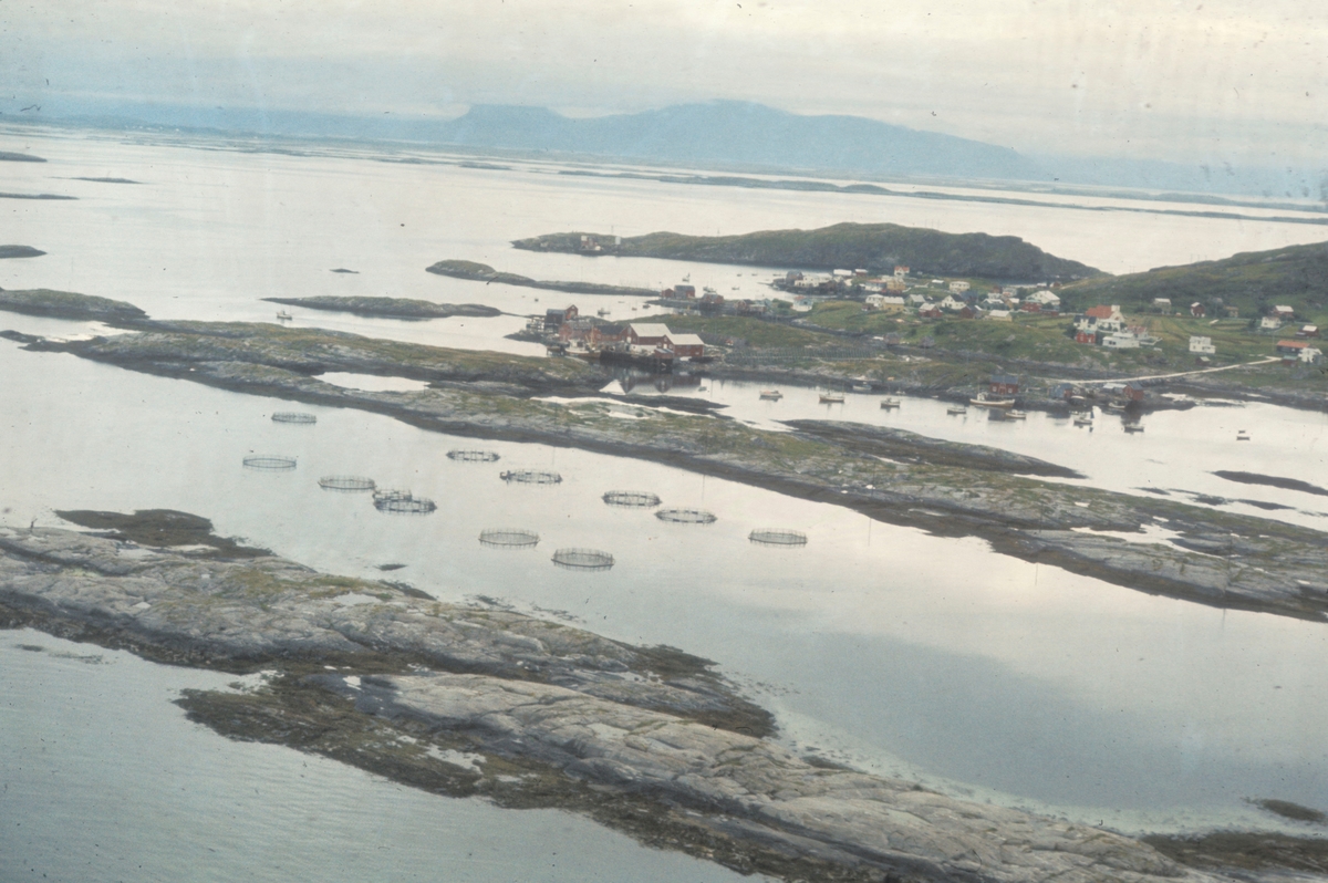 Flyfoto over Lovund. Oppdrettsanlegget tilhørte Steinar Olaisen og Hans Petter Meland. To av oppdrettspionerene på Helgeland. Bildet er tatt i forbindelse med Lovund seminaret i 1972.