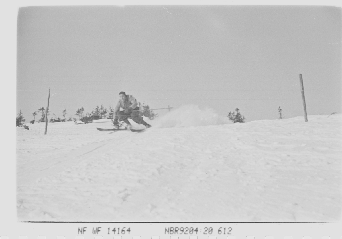 Skiløper i utforløype. Norefjell, Krødsherad, Viken. Fotografert 1941.