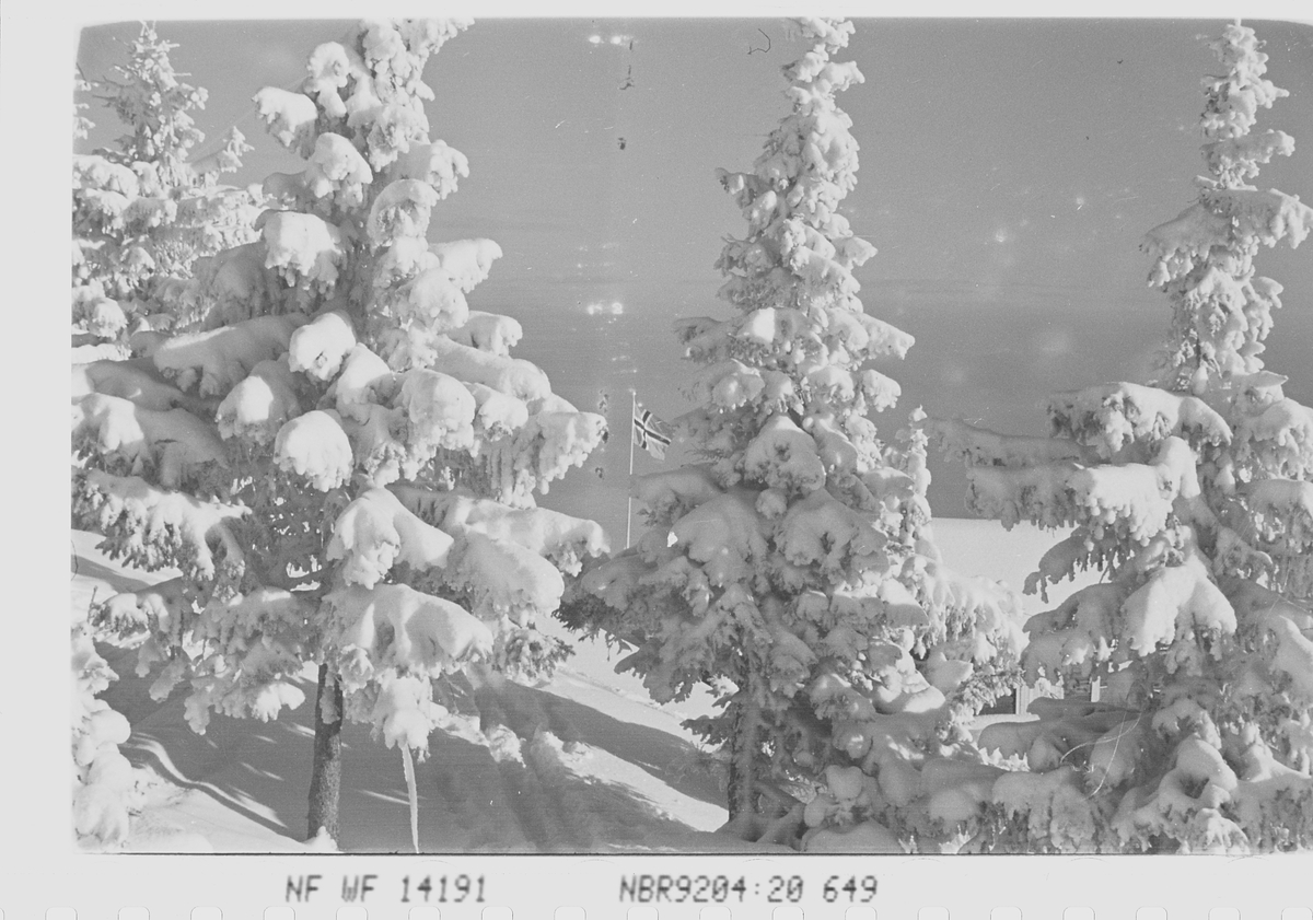 Vinterlandskap på Norefjell, Krødsherad, Viken. Fotografert 1941.