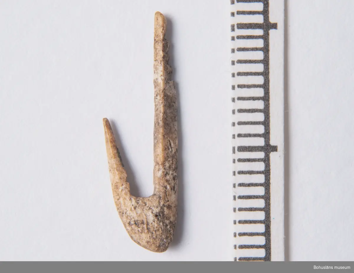 Krok, endast 1,9 cm lång, med fyra små skåror på skaftet för fäste av en lina. 

Benkroken är från äldre stenåldern och ungefär 8 000 år gammal. Den påträffades år 1989 vid arkeologiska undersökningar av en stenåldersboplats vid torpet Dammen på gården Röe, i Bro socken, Lysekils kommun. Den hittades i en s.k. kökkenmödding, en avfallshög bestående av skal från olika ostron, musslor, snäckor samt djurbensrester från stenåldersmänniskornas måltider och redskapstillverkning.
Att kroken och de andra benresterna har skyddats så länge i jorden beror på att de har legat i kalkrik jord, vilket bevarar detta material mycket bra. 
I ett kulturlager i anslutning till kökkenmöddingen fann man många redskap av flinta: yxor, knivar, borrspetsar och skrapor. Knack- och malstenar av annan bergart träffade man också på.
 Kroken är tillverkad av ett ben från en stor fågel, förmodligen svan. Med så små krokar har man fiskat ål eller sill.
 På boplatsen fann man benrester från ett stort antal djur: 14 olika fiskarter, fyra fågelarter och sju däggdjur samt ben av hund. 
Fynd av brända hasselnötsskal visar att man förutom jakt och fiske även samlade in och livnärde sig på vad skogen gav.
Andra platser i Bohuslän där man också funnit fiskekrokar i ben från stenåldern är Huseby Klev i Morlanda socken på Orust, Rottjärnslid i Dragsmarks socken, Uddevalla, Rörvik i Kville socken, Tanum och på Dafter, Sandhem och Ånneröd i Skee socken, Strömstad.