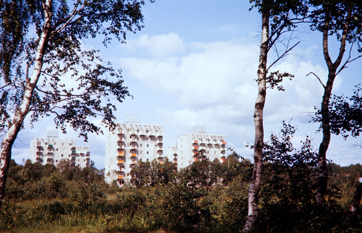 Spetsamossen i Växjö, 1956. I bakgrunden Lassaskog med Erskines höghus, kv. Lassaskog 5.