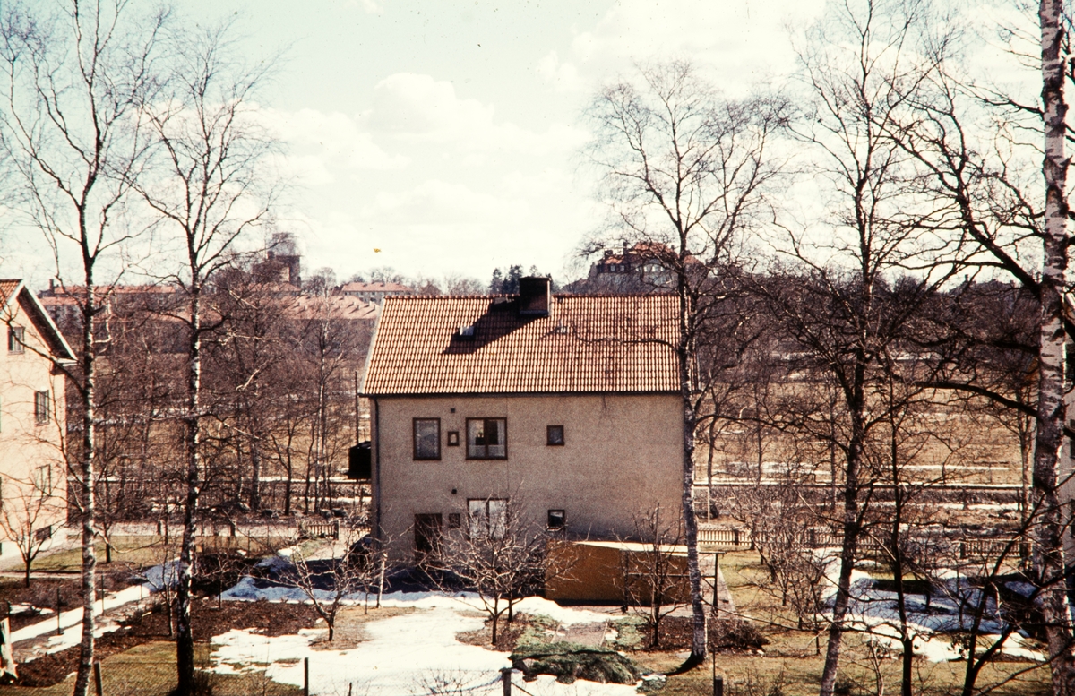Hus på Ulriksdalsgatan på Väster i Växjö, sent 1950-tal. Spetsamossen och Ringsberg i bakgrunden.