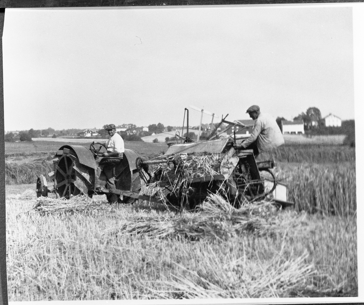 Selvbinder trukket av traktor på Rogneby, Østre Toten, en gang på 1930-tallet. Traktoren fra 1928-29. På Traktoren sitter gardsbesttyrer Ragnar Gullichsen, på selvbinderen Peder Anton Gaarderhagen. Slagsvold i bakgrunnen.