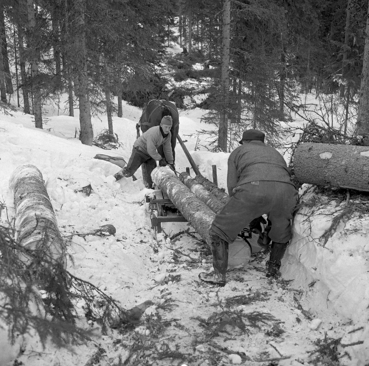 Tømmerkjøring med rede hos Per O. Løberg (med ryggen mot fotografen) og sønn. Kjøringen foregikk i nærheten av Nybergsund, Trysil, Hedmark.