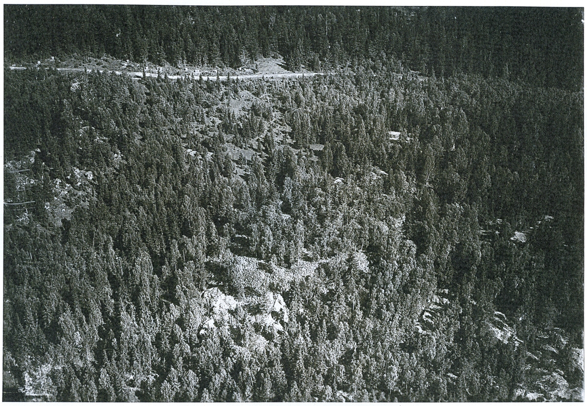Tärna sn, Sala kn, Smedsbo.
Flygfoto över skogsområde i Smedsbo, 1931.