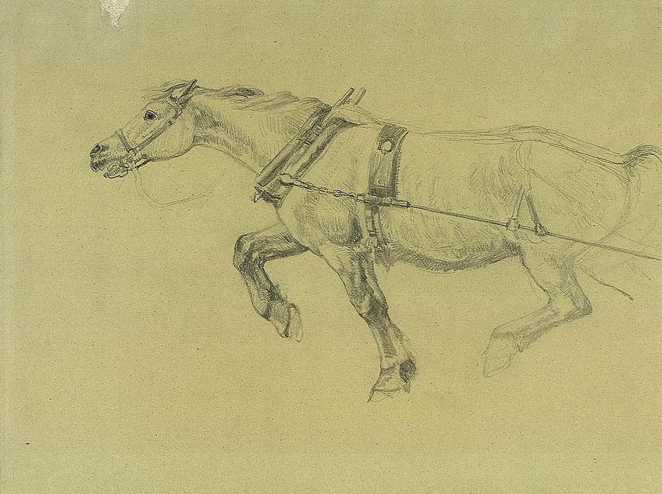 Hest som trekker [Tegning]