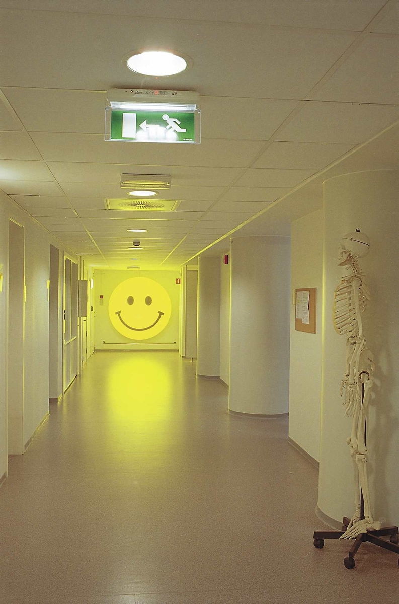 Én av to like store lyskasser med Smil-motiv montert i akse slik at de smiler til hverandre. Lyskassen er utført i pulvertlakkert aluminium. På fremsiden er det montert en slagfast ekstrudert akrylplate. På denne akrylplaten er motivet silketrykket.