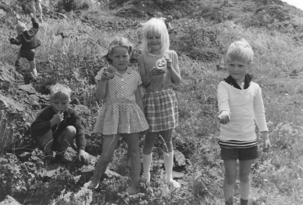Fem barn plukker markjordbær.