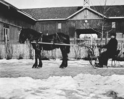 Bjerke, Peder Engen på sleden 1912