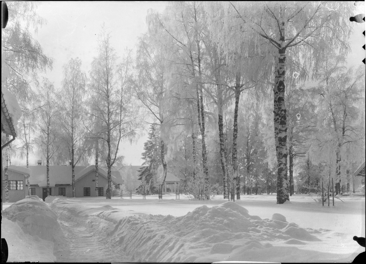Vintermotiv fra sykehusleiren på Gardermoen.