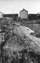 Gneisgranitt ved Bud. (1938-1947)