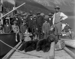 Bjørnejakt på Vike juni 1919. Bjørnen ble skutt i Kovafonna 