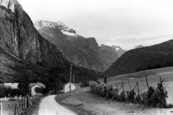 Nerås, Eresfjord.38.37.