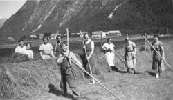 Slottonn..I bakgrunnen ser vi Utigard og Austigard.