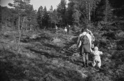 "Lillehammer 01.06.1964. Hos Tovan. Hyttetur. Vitjing på Lan