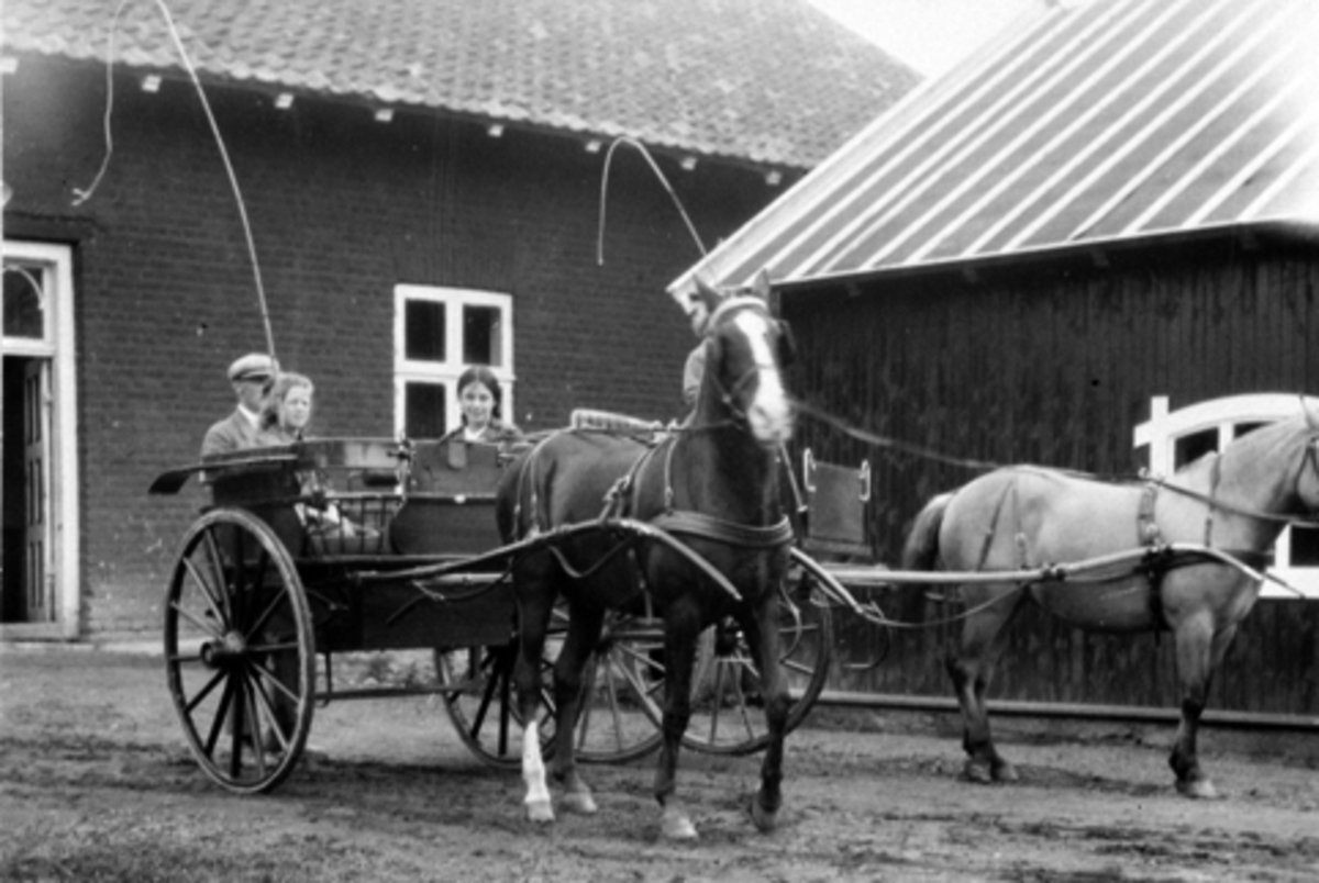 Hester og hestekjøretøy med folk på Hoel gård, Nes, Hedmark.