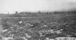 "Rendalen Statsalmenning. Øibakken i Tufsingdalen."