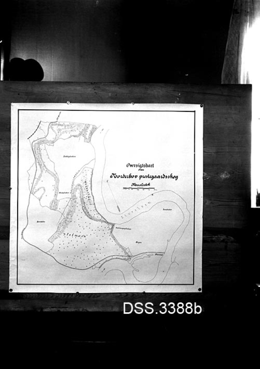 Reproduksjon av kart over Norderhov prestegårdsskog i Buskerud.  