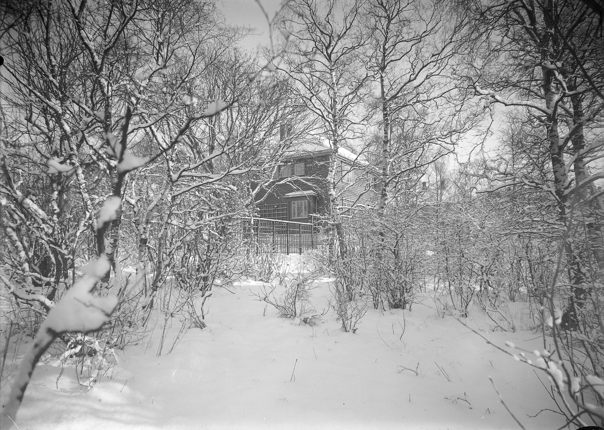 Villaen til professor Ragnvald Iversen