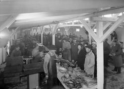 Fiskehallen i Ravnkloa