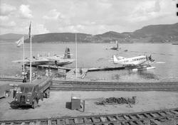 Hommelvik Sjøflyhavn