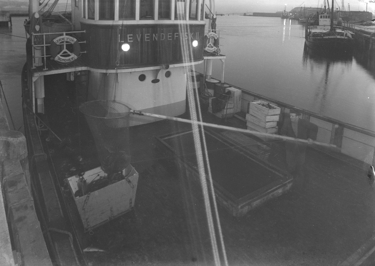 Båten Levendefisk II ved kai
